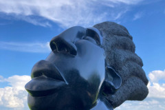 African King