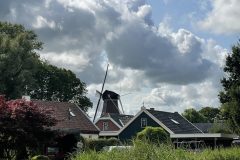 Koren en Pelmolen de Hoop in Middelstum