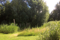 2020-07-2-12-natuurtuin-voor-speelbos-bij-de-UI-IMG_3197