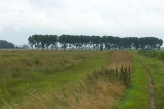 DSC05731