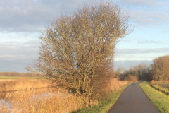 Fietspad langs het Stort