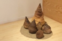 Skogels van Jessica Lelieveld expositie in Piloersmaborg in Den Ham