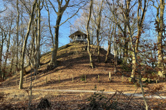 Termietenheuvel Vogelsangstaete