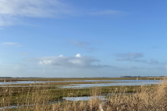 Vogels spotten bij Ballastplaatbos