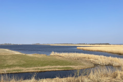 Vogels spotten bij Kollumerwaard
