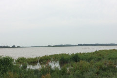 Vogelplas Lauwersmeer bij Ezumakeeg