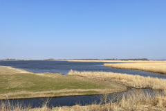Vogelgebied Lauwersmeer bij Kollumerwaard