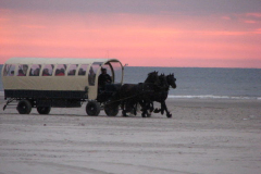 Huifkar over het strand