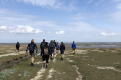 Lopend over Kwelder naar het Wad